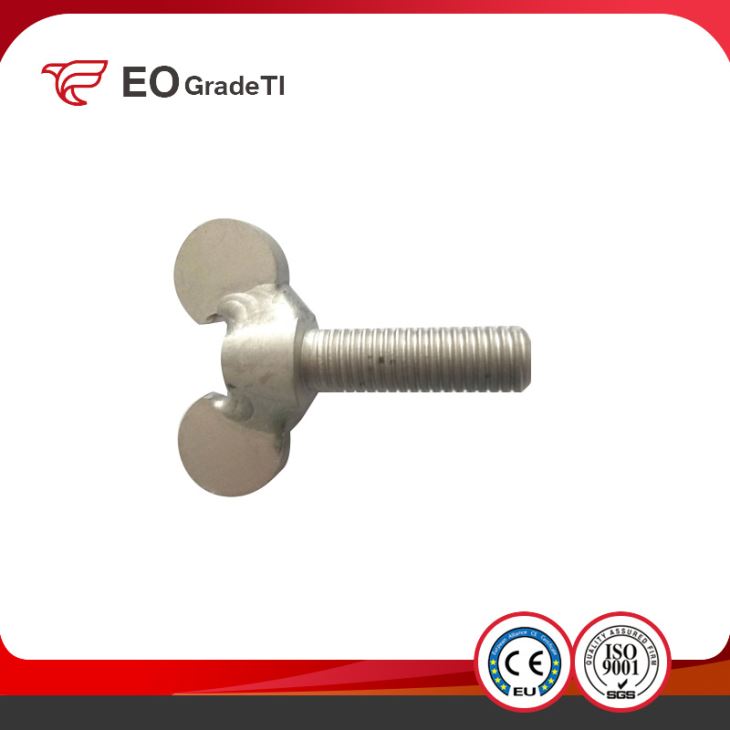 China Manufacturer Price for Titanium Wing Screws