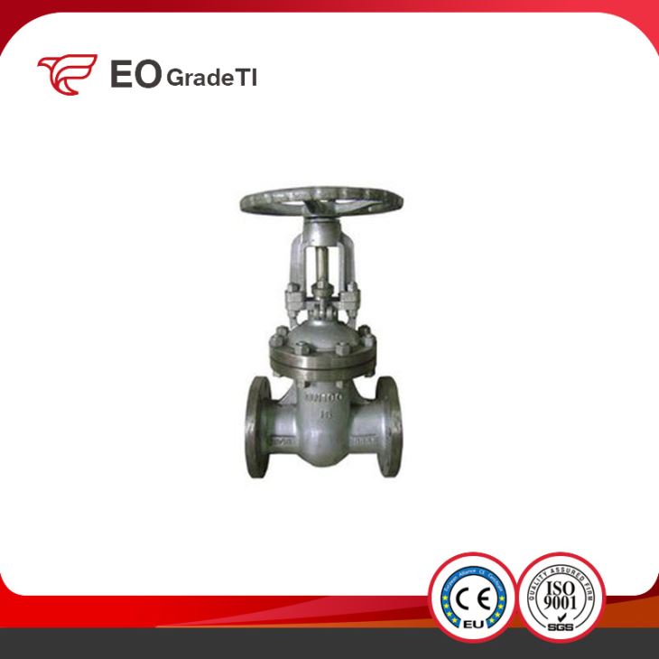 Gr2 Titanium Gate Valve PN16 DN80 Grade3 Titanium Gate Valve