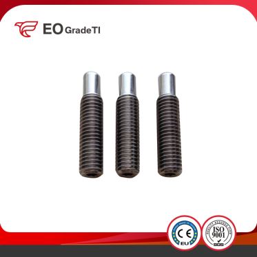 DIN913 DIN914 DIN915 DIN916 Titanium Set Screws