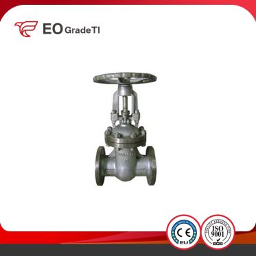 Gr2 Titanium Gate Valve PN16 DN80 Grade3 Titanium Gate Valve