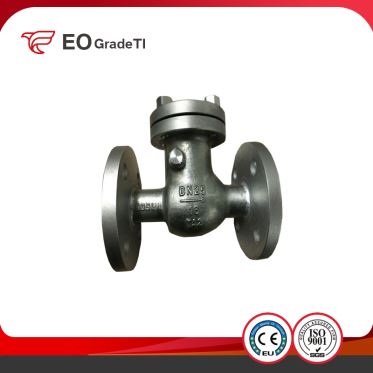 1 Inch Titanium Alloy Swing Check Valve