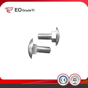 Titanium Carriage Bolts/Titanium Mushroom Head Bolts