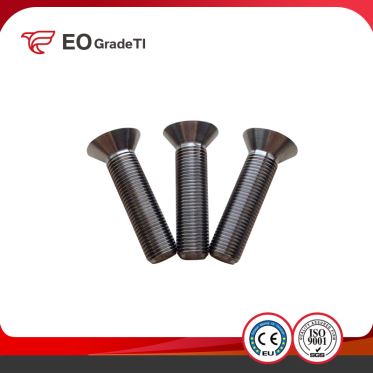 Titanium CSK Countersunk Head Screws