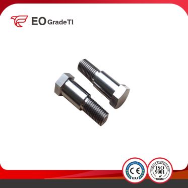 Titanium Hexagon Hex Head Bolts