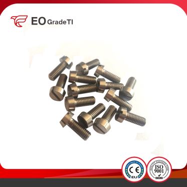 Titanium Slotted Cheese Head Screws