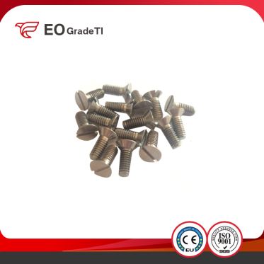 Titanium Slotted Countersunk Head Screws