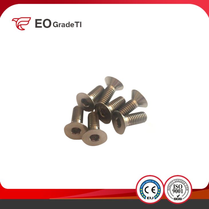 Titanium Fasteners Titanium Hex Socket Countersunk Head Screws