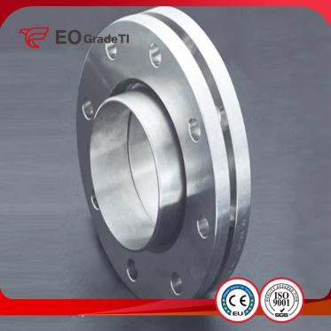 Grade 1 Titanium Ring Joint Flanges