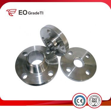 Grade 2 Titanium Ring Joint Flanges