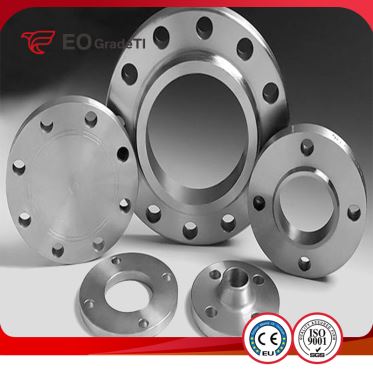 Grade 7 Titanium Plate Flanges